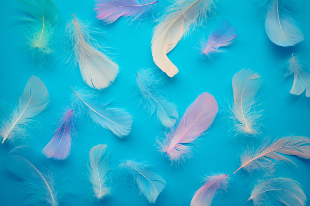 plumes multicolores sur fond bleu